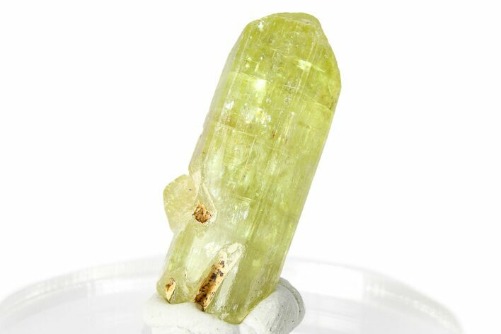 Gemmy Yellow-Green Apatite Crystal - Morocco #276523